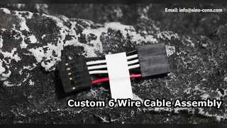 कस्टम 6 वायर केबल असेंबली HX25402 6Y 50mm समाधान
