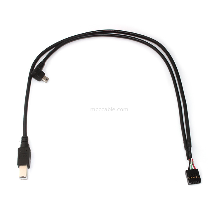 10 पिन 30AWG 2.54mm पिच Molex केबल असेंबली 150mm लंबाई Molex 22-55-2101